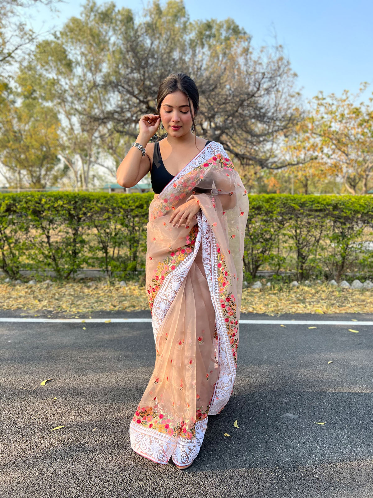 Pure Organza Silk Designer saree with Embroidery work –Brown