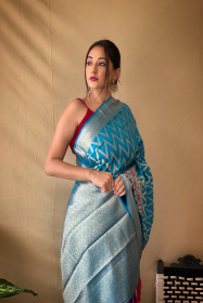 Banarasi silk saree with gold zari Woven border and Pallu - Sky Blue
