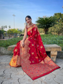  Banarasi silk saree with zari Woven minakari  border Pallu - Red