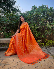  Banarasi silk saree with Gold zari Woven border & Rich Pallu -Orange