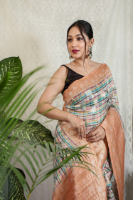 Pure linen Jaal woven saree with checkered prints - Peach