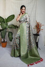 Pure linen Jaal woven saree with checkered prints - Pista Green