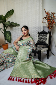 Pure linen Jaal woven saree with checkered prints - Pista Green