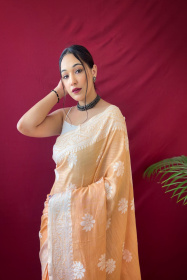 Pure Linen silk Lacknowi woven saree - Orange