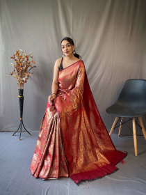 Gold zari Jaal woven Pure kanjeevaram silk Saree - Red
