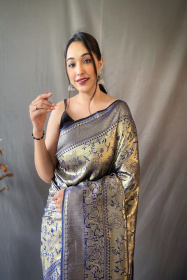 Gold zari Jaal woven Pure kanjeevaram silk Saree - Navy Blue
