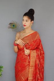 Patan Patola saree with gold Zari border and Rich Weaving Pallu - Red