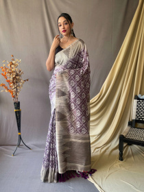 Patola Printed Pure Cotton Silk Temple woven saree - Purple