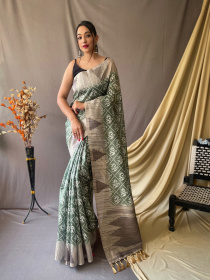 Patola Printed Pure Cotton Silk Temple woven saree - Green
