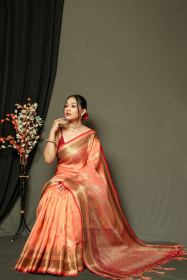 Banarasi Organza saree with Zari woven border & Contrast pallu- Peach