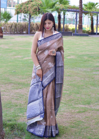 Pure Linen Zari woven saree with Contrast Border & Pallu - Light Brown