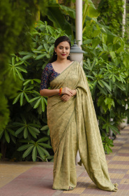 Soft silk self woven jacquard saree - Green