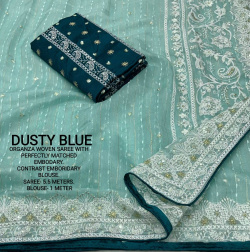 Designer soft Organza saree with Embroidery & Zari Work - Blue