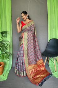 Patola Silk Saree With Gold Zari Woven Contrast Rich Pallu - Grey