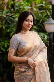 Soft Organza saree with Multicolor zari woven & Rich Pallu - Grey