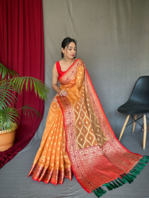 Banarasi Organza Saree with Zari Motifs Woven & Rich Pallu  - Orange