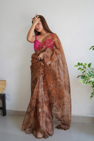 Soft Organza Designer saree with Hand work Embroidery  - Brown
