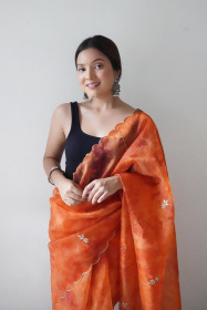 Soft Organza Designer saree with Hand work Embroidery  - Orange