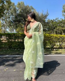 Pure Organza Designer saree with Gotapati Embroidery work –Green