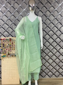Pure Soft cotton Plain Straight suit with Organza Dupatta - Mint Green