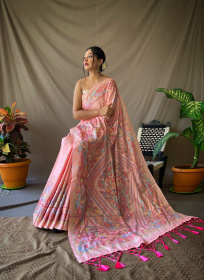 Kanjeevaram Soft Silk Sarees with Beautiful Katha Prints - Light Pink