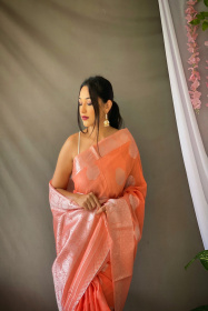Pure Linen Silk Sarees with woven motifs and Rich Pallu - Orange