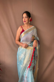 Organza floral printed saree with zari pallu & jacquard border-SkyBlue