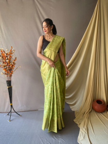 Banarasi Organza saree with zari weaving border and pallu -Pista Green