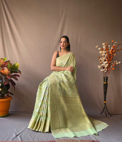 Linen Silk Saree with Zari Jaal Weaving And  Rich Pallu- Baby Green