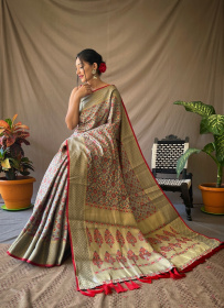 Patola saree with gold Zari border and Rich Weaving Pallu - Grey