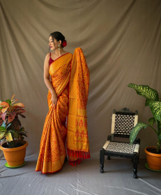Patola saree with gold Zari border and Rich Weaving Pallu - Orange