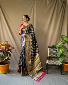 Gold zari Woven Banarasi silk saree with meenakari border - Navy Blue